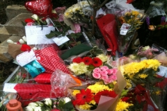 Ben's Flowers at Stone Road