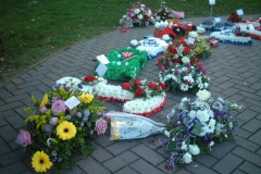 Ben's Flowers